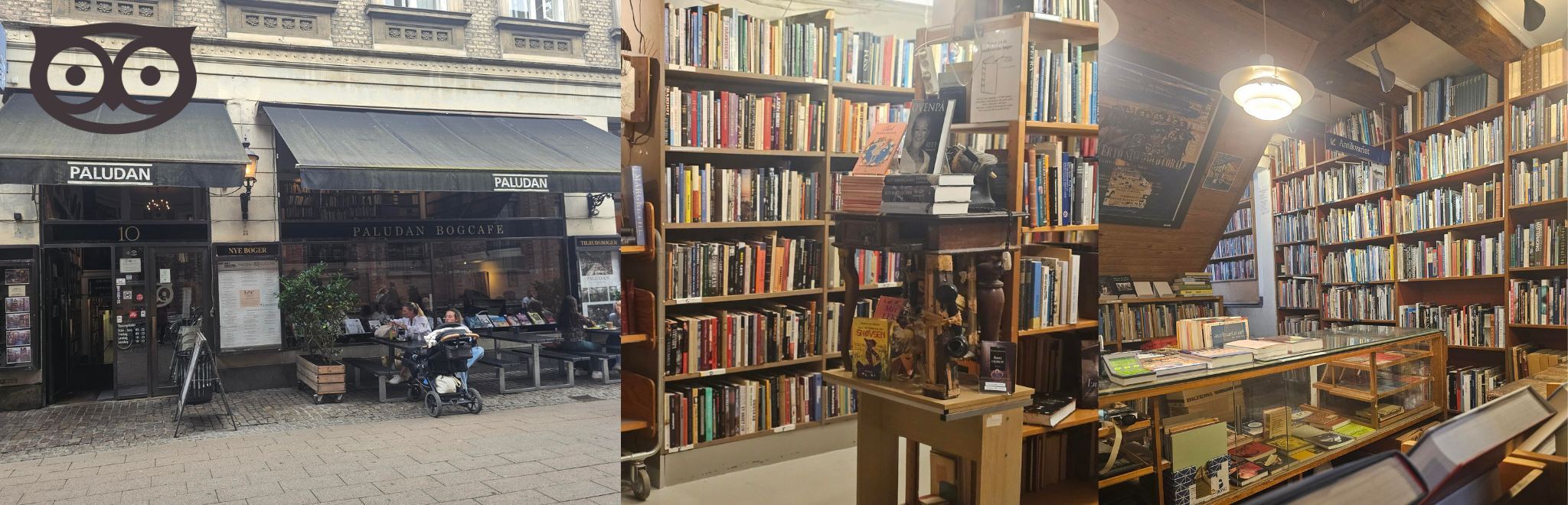 Paludans Antikvariat photo